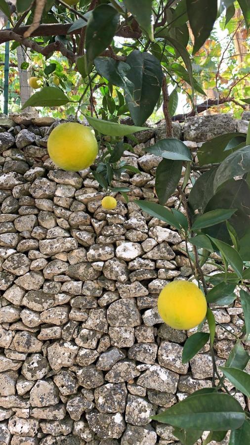 Ferienwohnung Dimora Le Zagare Ostuni Exterior foto
