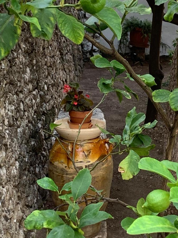 Ferienwohnung Dimora Le Zagare Ostuni Exterior foto