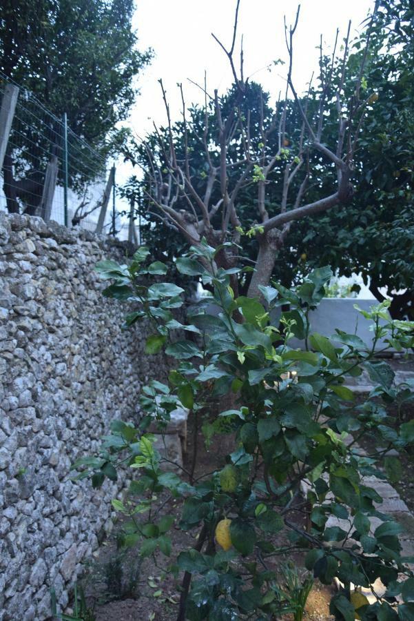 Ferienwohnung Dimora Le Zagare Ostuni Exterior foto
