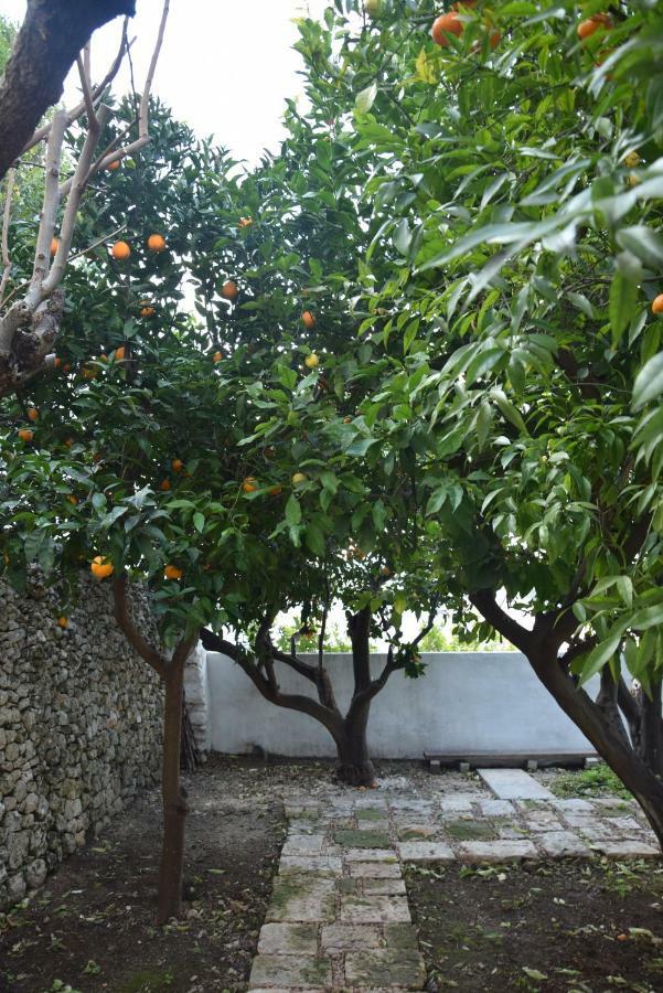 Ferienwohnung Dimora Le Zagare Ostuni Exterior foto
