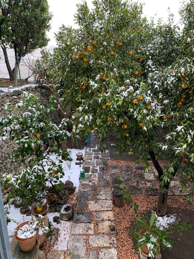 Ferienwohnung Dimora Le Zagare Ostuni Exterior foto