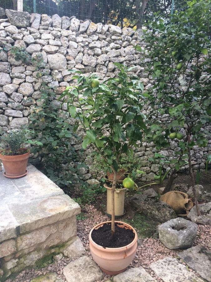 Ferienwohnung Dimora Le Zagare Ostuni Exterior foto
