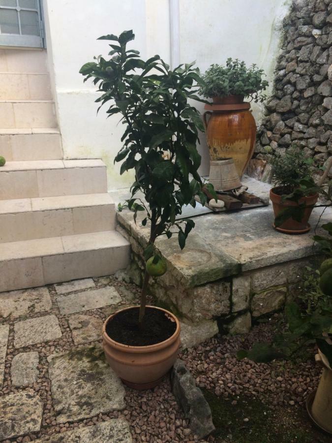 Ferienwohnung Dimora Le Zagare Ostuni Exterior foto